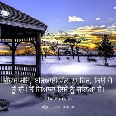Picture 03 - ਅੱਯੂਬ 36:21 PANIRV - ਚੌਕਸ ਰਹਿ, ਬੁਰਿਆਈ - Bible Verse Picture