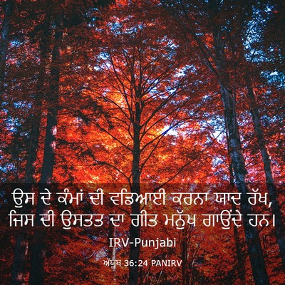 Picture 03 - ਅੱਯੂਬ 36:24 PANIRV - ਉਸ ਦੇ ਕੰਮਾਂ ਦੀ - Bible Verse Picture