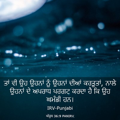 Picture 03 - ਅੱਯੂਬ 36:9 PANIRV - ਤਾਂ ਵੀ ਉਹ ਉਹਨਾਂ ਨੂੰ - Bible Verse Picture