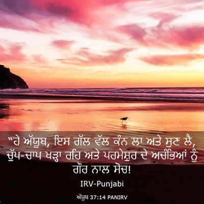 Picture 03 - ਅੱਯੂਬ 37:14 PANIRV - “ਹੇ ਅੱਯੂਬ, ਇਸ ਗੱਲ - Bible Verse Picture