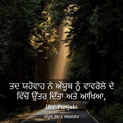 Picture 03 - ਅੱਯੂਬ 38:1 PANIRV - ਤਦ ਯਹੋਵਾਹ ਨੇ ਅੱਯੂਬ - Bible Verse Picture