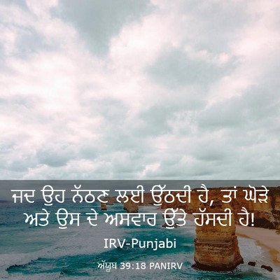 Picture 03 - ਅੱਯੂਬ 39:18 PANIRV - ਜਦ ਉਹ ਨੱਠਣ ਲਈ ਉੱਠਦੀ - Bible Verse Picture