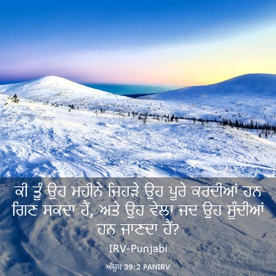 Picture 03 - ਅੱਯੂਬ 39:2 PANIRV - ਕੀ ਤੂੰ ਉਹ ਮਹੀਨੇ - Bible Verse Picture