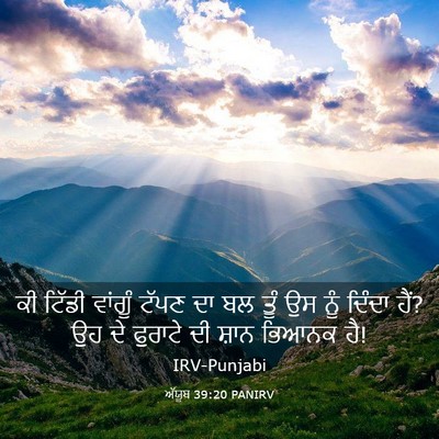 Picture 03 - ਅੱਯੂਬ 39:20 PANIRV - ਕੀ ਟਿੱਡੀ ਵਾਂਗੂੰ - Bible Verse Picture