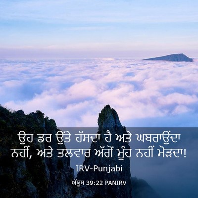 Picture 03 - ਅੱਯੂਬ 39:22 PANIRV - ਉਹ ਡਰ ਉੱਤੇ ਹੱਸਦਾ ਹੈ - Bible Verse Picture