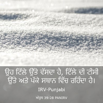 Picture 03 - ਅੱਯੂਬ 39:28 PANIRV - ਉਹ ਟਿੱਲੇ ਉੱਤੇ - Bible Verse Picture