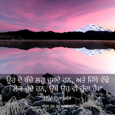 Picture 03 - ਅੱਯੂਬ 39:30 PANIRV - ਉਹ ਦੇ ਬੱਚੇ ਲਹੂ - Bible Verse Picture