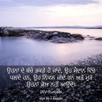 Picture 03 - ਅੱਯੂਬ 39:4 PANIRV - ਉਹਨਾਂ ਦੇ ਬੱਚੇ ਤਕੜੇ - Bible Verse Picture