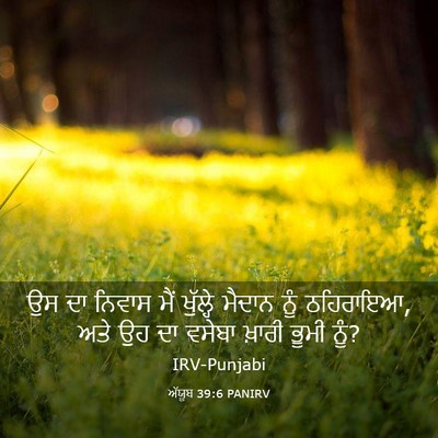Picture 03 - ਅੱਯੂਬ 39:6 PANIRV - ਉਸ ਦਾ ਨਿਵਾਸ ਮੈਂ - Bible Verse Picture