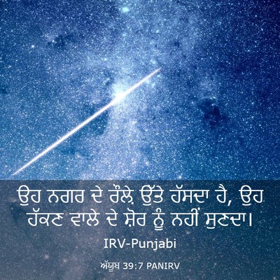 Picture 03 - ਅੱਯੂਬ 39:7 PANIRV - ਉਹ ਨਗਰ ਦੇ ਰੌਲ਼ੇ - Bible Verse Picture