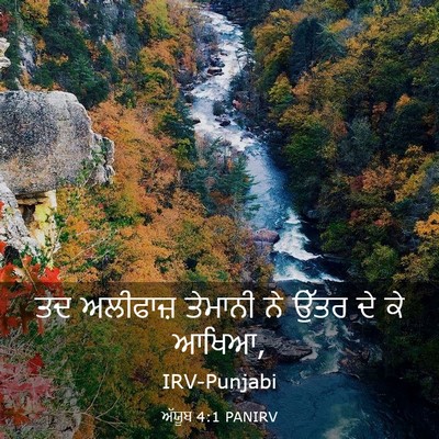 Picture 03 - ਅੱਯੂਬ 4:1 PANIRV - ਤਦ ਅਲੀਫਾਜ਼ ਤੇਮਾਨੀ - Bible Verse Picture
