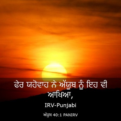 Picture 03 - ਅੱਯੂਬ 40:1 PANIRV - ਫੇਰ ਯਹੋਵਾਹ ਨੇ - Bible Verse Picture