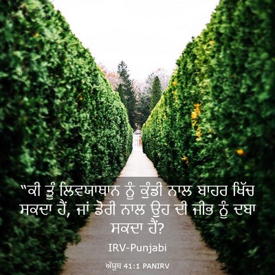 Picture 03 - ਅੱਯੂਬ 41:1 PANIRV - “ਕੀ ਤੂੰ ਲਿਵਯਾਥਾਨ - Bible Verse Picture