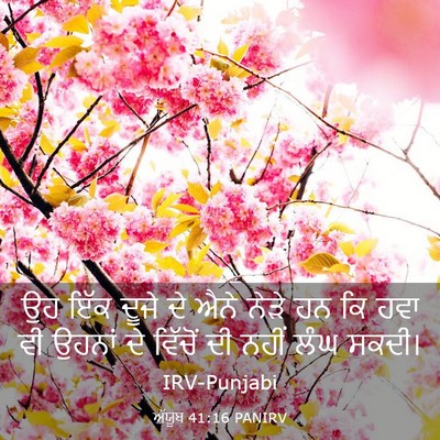 Picture 03 - ਅੱਯੂਬ 41:16 PANIRV - ਉਹ ਇੱਕ ਦੂਜੇ ਦੇ ਐਨੇ - Bible Verse Picture