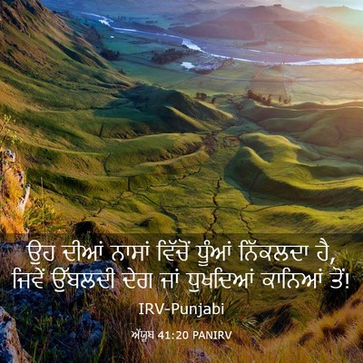 Picture 03 - ਅੱਯੂਬ 41:20 PANIRV - ਉਹ ਦੀਆਂ ਨਾਸਾਂ - Bible Verse Picture
