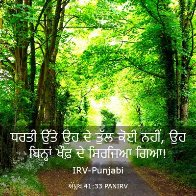 Picture 03 - ਅੱਯੂਬ 41:33 PANIRV - ਧਰਤੀ ਉੱਤੇ ਉਹ ਦੇ - Bible Verse Picture