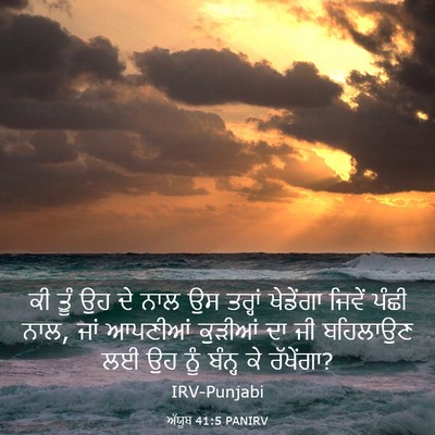 Picture 03 - ਅੱਯੂਬ 41:5 PANIRV - ਕੀ ਤੂੰ ਉਹ ਦੇ ਨਾਲ ਉਸ - Bible Verse Picture