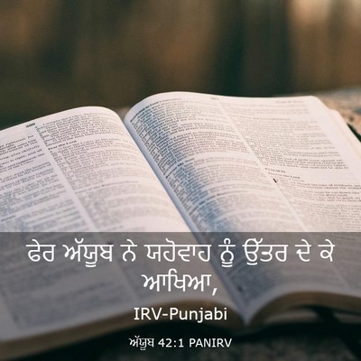Picture 03 - ਅੱਯੂਬ 42:1 PANIRV - ਫੇਰ ਅੱਯੂਬ ਨੇ - Bible Verse Picture