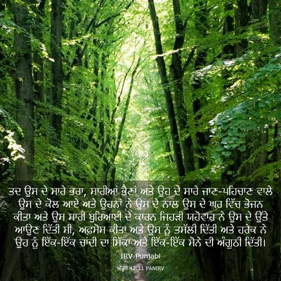 Picture 03 - ਅੱਯੂਬ 42:11 PANIRV - ਤਦ ਉਸ ਦੇ ਸਾਰੇ ਭਰਾ, - Bible Verse Picture