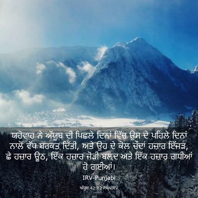 Picture 03 - ਅੱਯੂਬ 42:12 PANIRV - ਯਹੋਵਾਹ ਨੇ ਅੱਯੂਬ ਦੀ - Bible Verse Picture