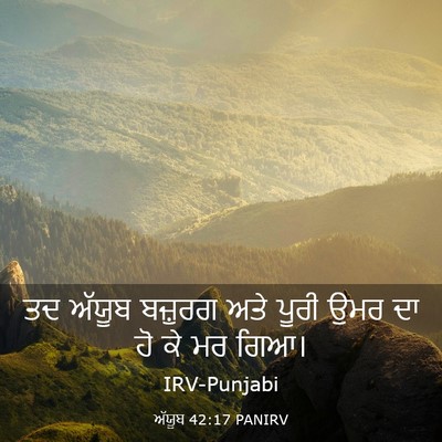 Picture 03 - ਅੱਯੂਬ 42:17 PANIRV - ਤਦ ਅੱਯੂਬ ਬਜ਼ੁਰਗ - Bible Verse Picture