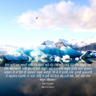 Picture 03 - ਅੱਯੂਬ 42:8 PANIRV - ਇਸ ਲਈ ਹੁਣ ਆਪਣੇ ਲਈ - Bible Verse Picture