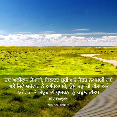 Picture 03 - ਅੱਯੂਬ 42:9 PANIRV - ਤਦ ਅਲੀਫਾਜ਼ ਤੇਮਾਨੀ, - Bible Verse Picture
