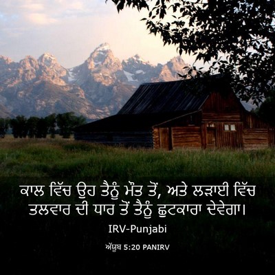 Picture 03 - ਅੱਯੂਬ 5:20 PANIRV - ਕਾਲ ਵਿੱਚ ਉਹ ਤੈਨੂੰ - Bible Verse Picture