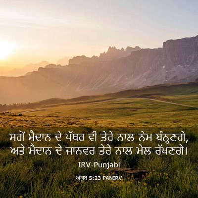 Picture 03 - ਅੱਯੂਬ 5:23 PANIRV - ਸਗੋਂ ਮੈਦਾਨ ਦੇ ਪੱਥਰ - Bible Verse Picture