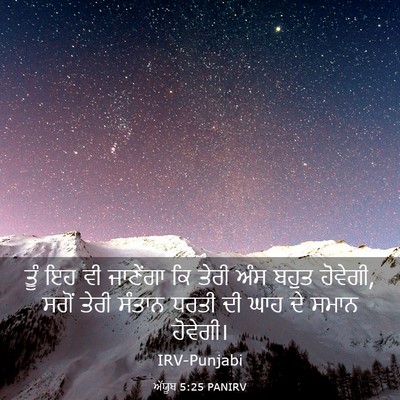 Picture 03 - ਅੱਯੂਬ 5:25 PANIRV - ਤੂੰ ਇਹ ਵੀ ਜਾਣੇਂਗਾ - Bible Verse Picture