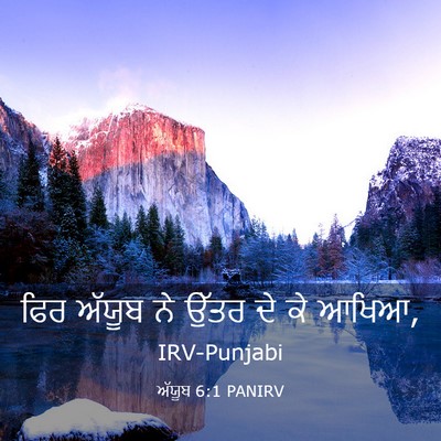 Picture 03 - ਅੱਯੂਬ 6:1 PANIRV - ਫਿਰ ਅੱਯੂਬ ਨੇ ਉੱਤਰ - Bible Verse Picture
