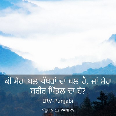 Picture 03 - ਅੱਯੂਬ 6:12 PANIRV - ਕੀ ਮੇਰਾ ਬਲ ਪੱਥਰਾਂ - Bible Verse Picture