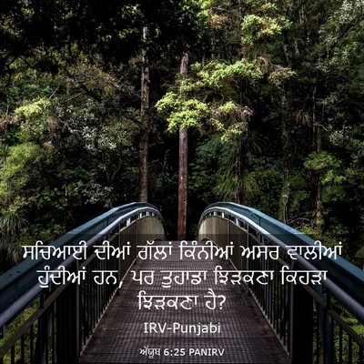 Picture 03 - ਅੱਯੂਬ 6:25 PANIRV - ਸਚਿਆਈ ਦੀਆਂ ਗੱਲਾਂ - Bible Verse Picture