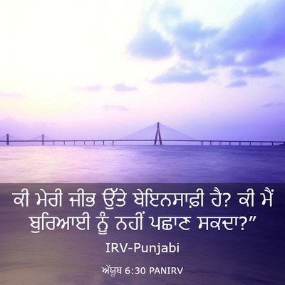 Picture 03 - ਅੱਯੂਬ 6:30 PANIRV - ਕੀ ਮੇਰੀ ਜੀਭ ਉੱਤੇ - Bible Verse Picture
