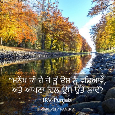 Picture 03 - ਅੱਯੂਬ 7:17 PANIRV - “ਮਨੁੱਖ ਕੀ ਹੈ ਜੋ ਤੂੰ - Bible Verse Picture
