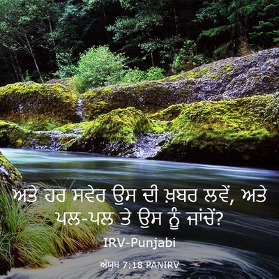 Picture 03 - ਅੱਯੂਬ 7:18 PANIRV - ਅਤੇ ਹਰ ਸਵੇਰ ਉਸ ਦੀ - Bible Verse Picture