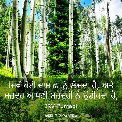 Picture 03 - ਅੱਯੂਬ 7:2 PANIRV - ਜਿਵੇਂ ਕੋਈ ਦਾਸ ਛਾਂ - Bible Verse Picture