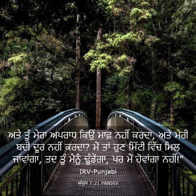 Picture 03 - ਅੱਯੂਬ 7:21 PANIRV - ਅਤੇ ਤੂੰ ਮੇਰਾ ਅਪਰਾਧ - Bible Verse Picture