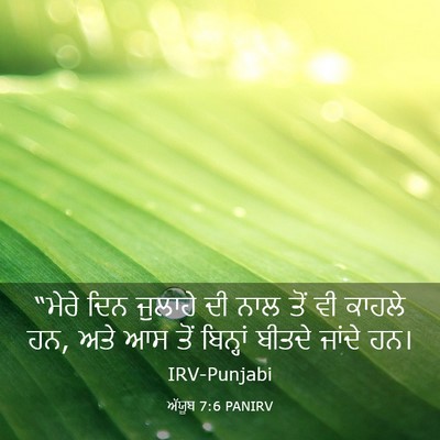 Picture 03 - ਅੱਯੂਬ 7:6 PANIRV - “ਮੇਰੇ ਦਿਨ ਜੁਲਾਹੇ - Bible Verse Picture