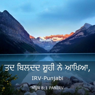 Picture 03 - ਅੱਯੂਬ 8:1 PANIRV - ਤਦ ਬਿਲਦਦ ਸ਼ੂਹੀ ਨੇ - Bible Verse Picture