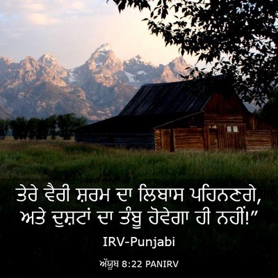 Picture 03 - ਅੱਯੂਬ 8:22 PANIRV - ਤੇਰੇ ਵੈਰੀ ਸ਼ਰਮ ਦਾ - Bible Verse Picture