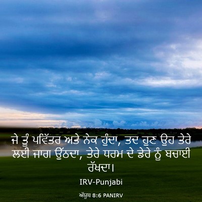 Picture 03 - ਅੱਯੂਬ 8:6 PANIRV - ਜੇ ਤੂੰ ਪਵਿੱਤਰ ਅਤੇ - Bible Verse Picture