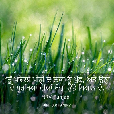 Picture 03 - ਅੱਯੂਬ 8:8 PANIRV - “ਤੂੰ ਪਹਿਲੀ ਪੀੜ੍ਹੀ - Bible Verse Picture