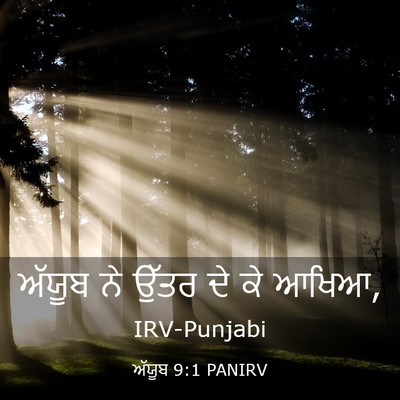 Picture 03 - ਅੱਯੂਬ 9:1 PANIRV - ਅੱਯੂਬ ਨੇ ਉੱਤਰ ਦੇ ਕੇ - Bible Verse Picture