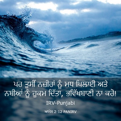 Picture 03 - ਆਮੋਸ 2:12 PANIRV - ਪਰ ਤੁਸੀਂ ਨਜ਼ੀਰਾਂ - Bible Verse Picture