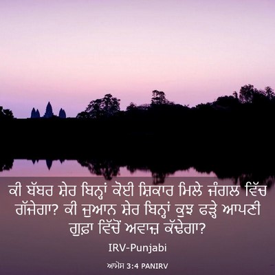 Picture 03 - ਆਮੋਸ 3:4 PANIRV - ਕੀ ਬੱਬਰ ਸ਼ੇਰ - Bible Verse Picture