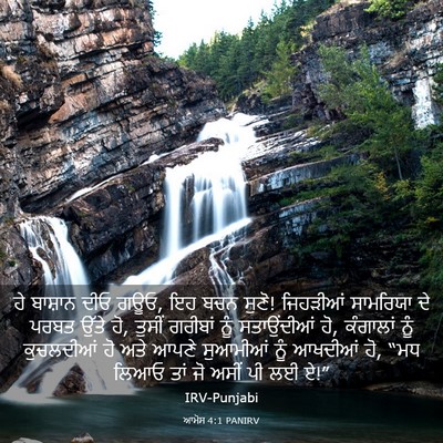 Picture 03 - ਆਮੋਸ 4:1 PANIRV - ਹੇ ਬਾਸ਼ਾਨ ਦੀਓ ਗਊਓ, - Bible Verse Picture