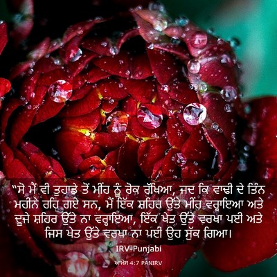 Picture 03 - ਆਮੋਸ 4:7 PANIRV - “ਸੋ ਮੈਂ ਵੀ ਤੁਹਾਡੇ - Bible Verse Picture