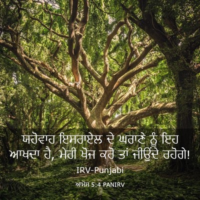 Picture 03 - ਆਮੋਸ 5:4 PANIRV - ਯਹੋਵਾਹ ਇਸਰਾਏਲ ਦੇ - Bible Verse Picture