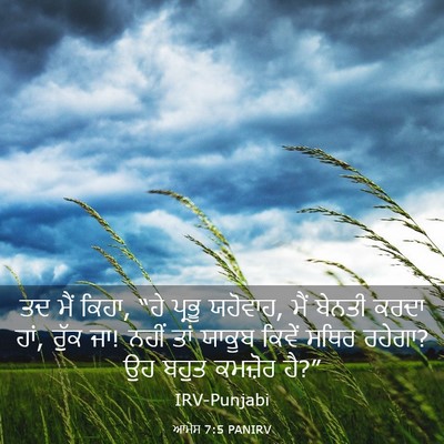 Picture 03 - ਆਮੋਸ 7:5 PANIRV - ਤਦ ਮੈਂ ਕਿਹਾ, “ਹੇ - Bible Verse Picture